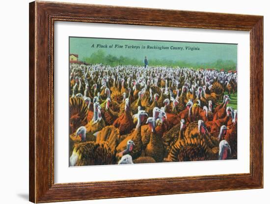 Virginia - Rockingham County Turkey Flock-Lantern Press-Framed Art Print