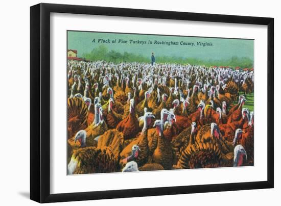 Virginia - Rockingham County Turkey Flock-Lantern Press-Framed Art Print