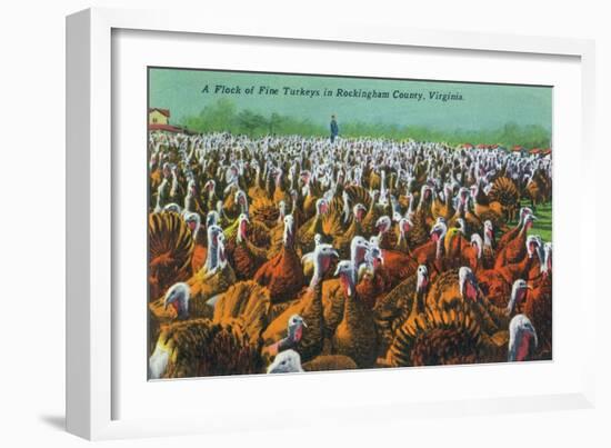 Virginia - Rockingham County Turkey Flock-Lantern Press-Framed Art Print