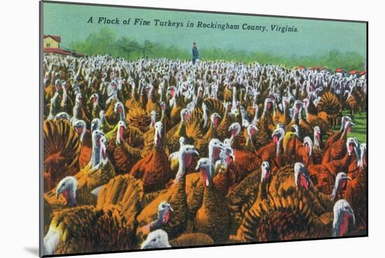Virginia - Rockingham County Turkey Flock-Lantern Press-Mounted Art Print