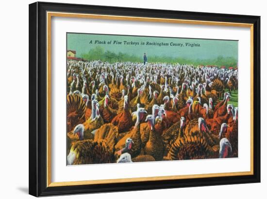 Virginia - Rockingham County Turkey Flock-Lantern Press-Framed Art Print