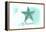 Virginia - Starfish - Teal - Coastal Icon-Lantern Press-Framed Stretched Canvas