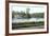 Virginia Water, Surrey, 20th Century-null-Framed Giclee Print