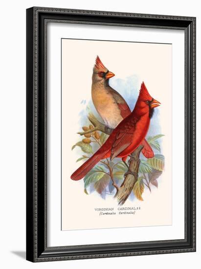 Virginian Cardinal-F.w. Frohawk-Framed Art Print