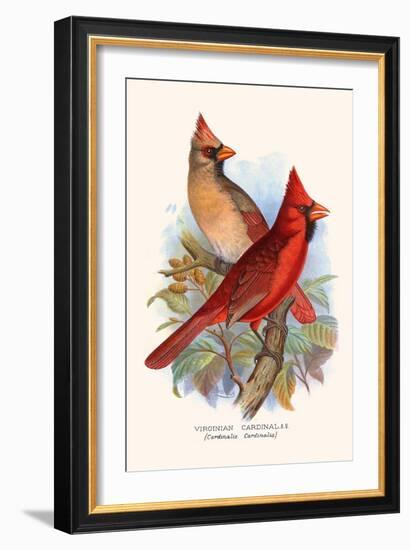 Virginian Cardinal-F.w. Frohawk-Framed Art Print