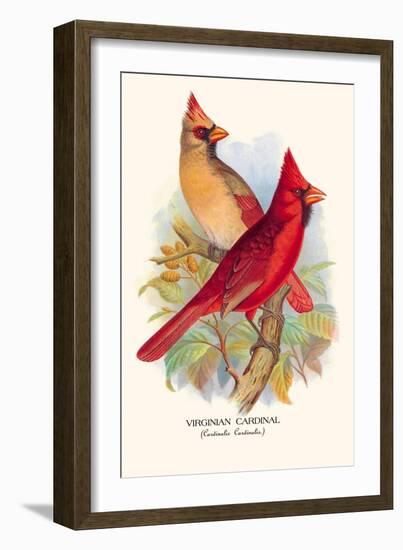 Virginian Cardinal-Arthur G. Butler-Framed Art Print