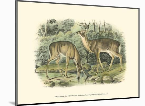 Virginian Deer-John James Audubon-Mounted Art Print