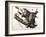 Virginian Opossum, 1845-John James Audubon-Framed Giclee Print