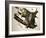 Virginian Opossum, from Quadrupeds of America, Engraved by John T. Bowen-John James Audubon-Framed Giclee Print