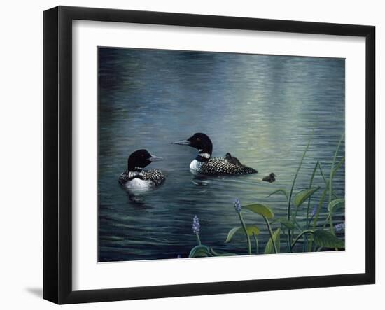 Virginias Loons-Kevin Dodds-Framed Premium Giclee Print