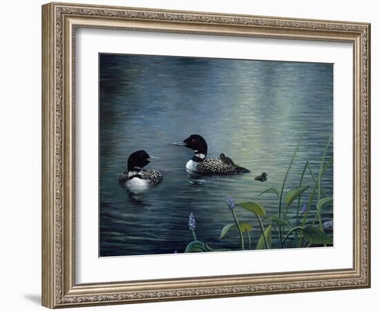 Virginias Loons-Kevin Dodds-Framed Giclee Print