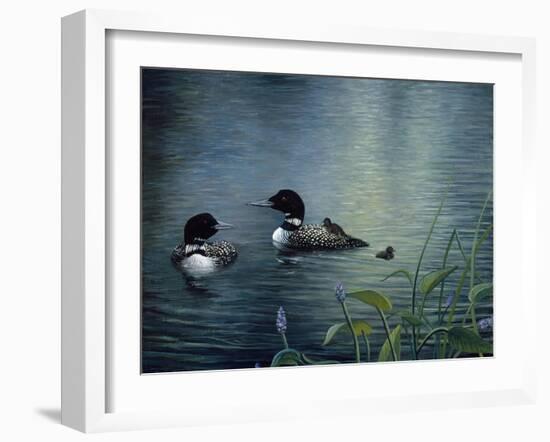 Virginias Loons-Kevin Dodds-Framed Giclee Print