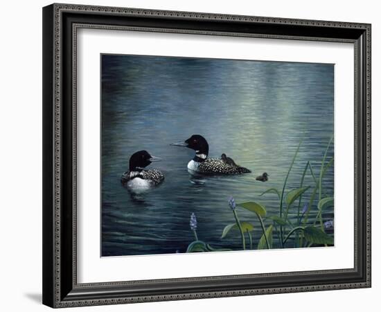 Virginias Loons-Kevin Dodds-Framed Giclee Print