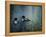 Virginias Loons-Kevin Dodds-Framed Premier Image Canvas