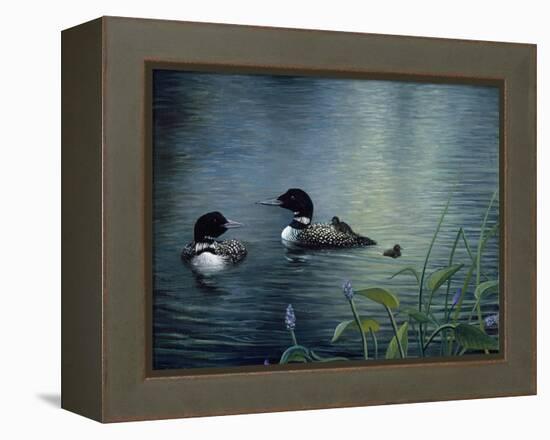 Virginias Loons-Kevin Dodds-Framed Premier Image Canvas