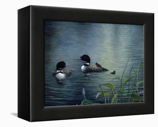 Virginias Loons-Kevin Dodds-Framed Premier Image Canvas