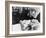 Viridiana, 1961-null-Framed Photographic Print