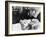 Viridiana, 1961-null-Framed Photographic Print