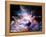 Virtual Nebulae-agsandrew-Framed Stretched Canvas