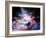 Virtual Nebulae-agsandrew-Framed Art Print