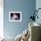 Virtual Nebulae-agsandrew-Framed Art Print displayed on a wall