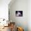 Virtual Nebulae-agsandrew-Mounted Art Print displayed on a wall