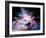 Virtual Nebulae-agsandrew-Framed Art Print