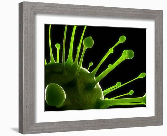 Virus, Conceptual Image-SCIEPRO-Framed Photographic Print