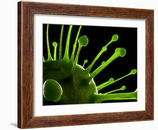 Virus, Conceptual Image-SCIEPRO-Framed Photographic Print