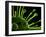 Virus, Conceptual Image-SCIEPRO-Framed Photographic Print