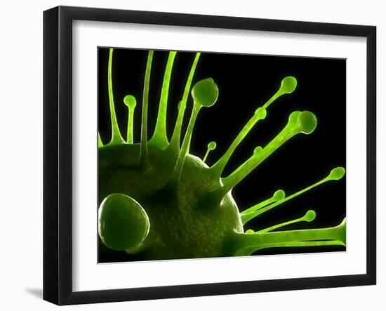 Virus, Conceptual Image-SCIEPRO-Framed Photographic Print