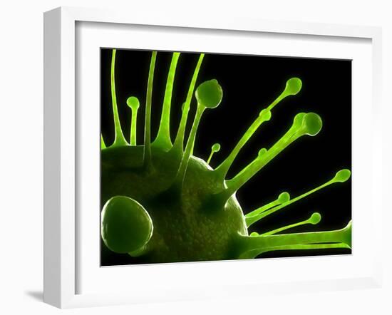 Virus, Conceptual Image-SCIEPRO-Framed Photographic Print