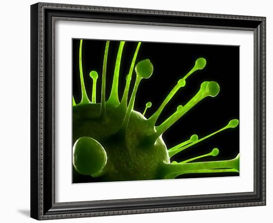Virus, Conceptual Image-SCIEPRO-Framed Photographic Print