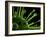 Virus, Conceptual Image-SCIEPRO-Framed Photographic Print