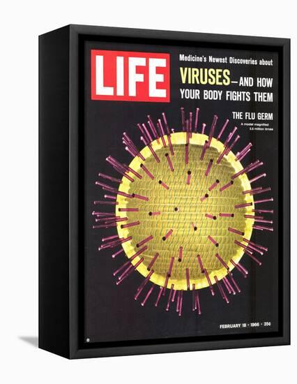 Viruses, Model of Flu Virus, February 18, 1966-Yale Joel-Framed Premier Image Canvas