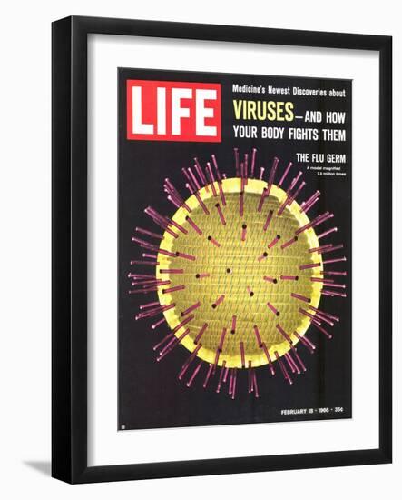 Viruses, Model of Flu Virus, February 18, 1966-Yale Joel-Framed Photographic Print