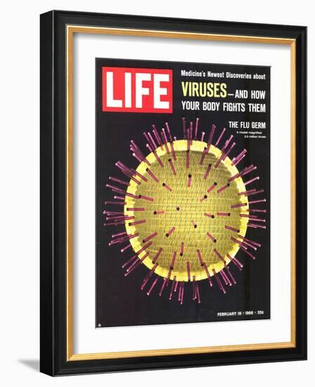 Viruses, Model of Flu Virus, February 18, 1966-Yale Joel-Framed Photographic Print