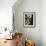 Visby, Sweden-J.D. Mcfarlan-Framed Photographic Print displayed on a wall