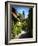 Visby, Sweden-J.D. Mcfarlan-Framed Photographic Print