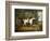 Viscount Rowland Hill on His Grey Hunter with the Shropshire Hunt-Richard Jones-Framed Giclee Print