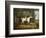 Viscount Rowland Hill on His Grey Hunter with the Shropshire Hunt-Richard Jones-Framed Giclee Print