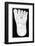 Vishnu's Foot, 19th Century-Science Photo Library-Framed Photographic Print