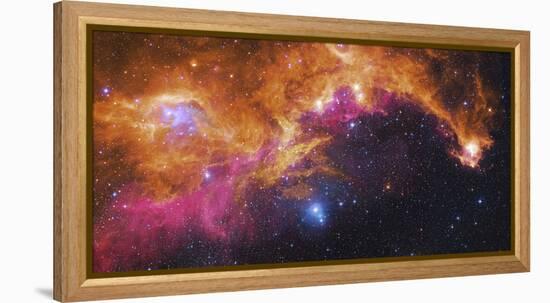 Visible Light-Infrared Composite of Ic 2177, the Seagull Nebula-Stocktrek Images-Framed Premier Image Canvas