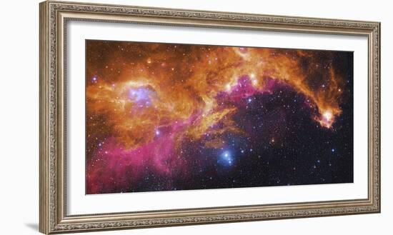 Visible Light-Infrared Composite of Ic 2177, the Seagull Nebula-Stocktrek Images-Framed Photographic Print