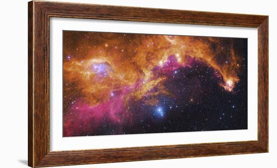 Visible Light-Infrared Composite of Ic 2177, the Seagull Nebula-Stocktrek Images-Framed Photographic Print