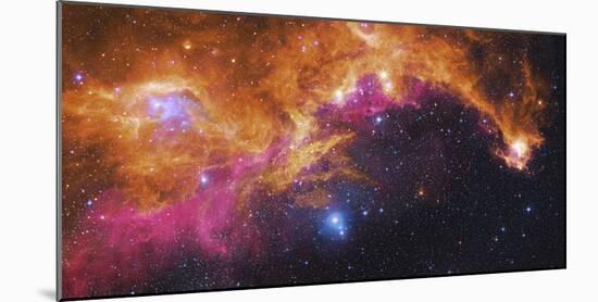 Visible Light-Infrared Composite of Ic 2177, the Seagull Nebula-Stocktrek Images-Mounted Photographic Print