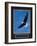 Vision - Eagle-unknown unknown-Framed Photo