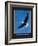Vision - Eagle-unknown unknown-Framed Photo