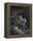 Vision of Death-Gustave Doré-Framed Premier Image Canvas