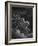 Vision of Death-Gustave Doré-Framed Giclee Print